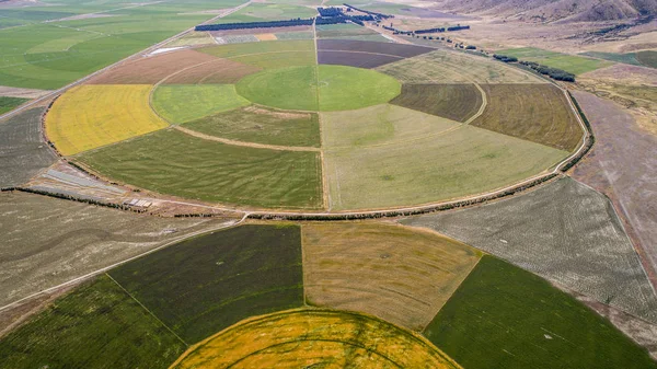 Cirkel Odling Fält Sett Från Drönaren Nya Zeeland — Stockfoto