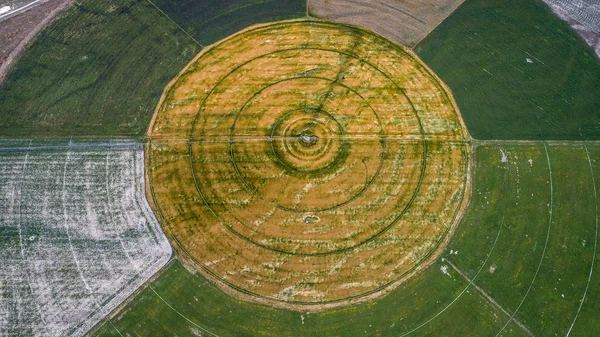 从新西兰的无人机上看到的圆形耕田 — 图库照片