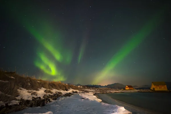 Het Noorderlicht Bewonderen Van Het Strand Door Noordzee Met Sneeuw — Stockfoto