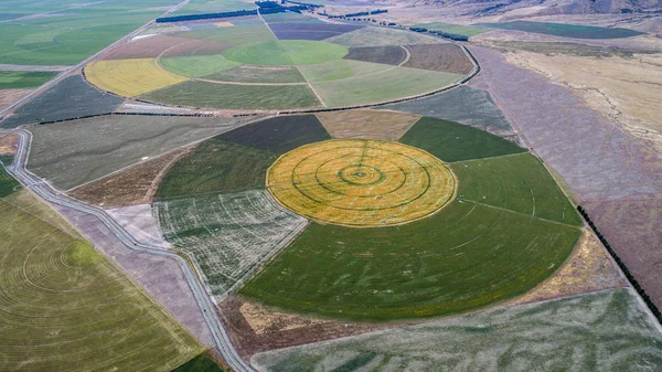 从新西兰的无人机上看到的圆形耕田 图库图片