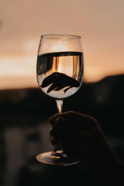 Kırmızı balık. Bardakta Betta görkemli.