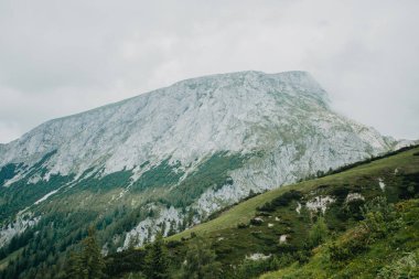 Avusturyalı ve Alman Alpleri 'nin güzel manzarası