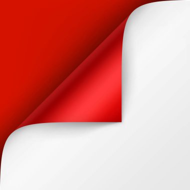 Parlak kırmızı kırmızı zemin üzerine beyaz kağıt gölge sahte Isolated kadar yakından ile vektör Curled köşe