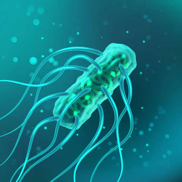 Vektor, bakterie, salmonela typhosa s bičíky mikroskopické. Lékařské, vědecké mikrob a klíčky, tyrkysová — Stockový vektor