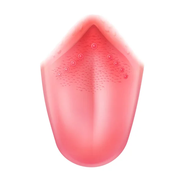 Vector realistiska mänskliga tungan närbild isolerade på vit bakgrund — Stock vektor