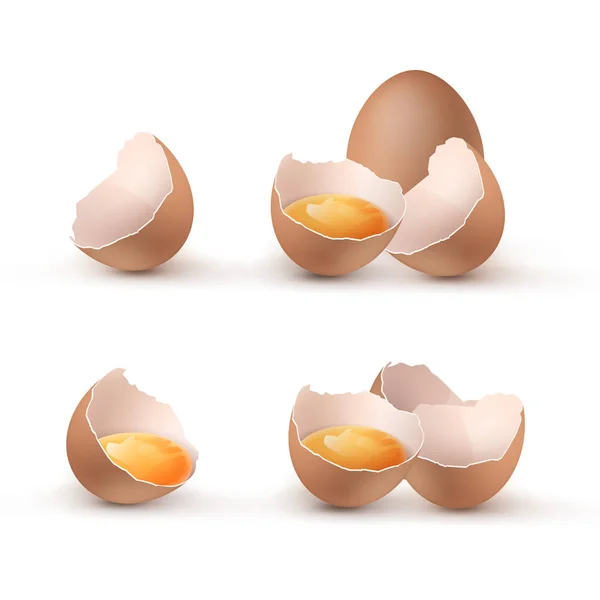 Repedt tojás sárgáját, set tojáshéj repedt és törött a felét elszigetelt háttér vektor illusztráció — Stock Vector