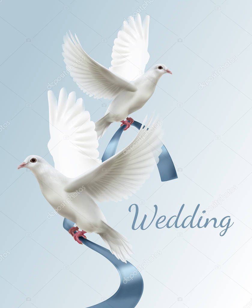 Vector illustration of two white doves with blue ribbon. Concept of wedding invitation