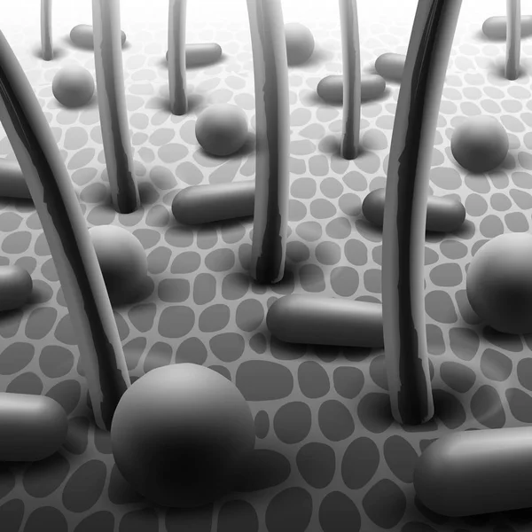 Vektorillustration av sfäriska och stavformade bakterier på huden med hår, mikroflora under Mikroskop — Stock vektor
