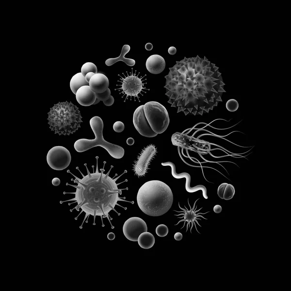 Vector black and white illustration of bacteria and virus cells: cocci, spirilla, bacilli isolated on background — Stock Vector