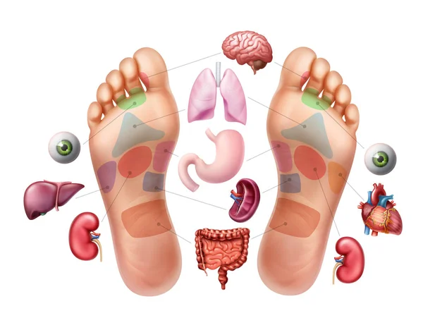 Vector illustratie van voetzolen met reflexologie zones voor acupunctuur en organen op de achtergrond — Stockvector