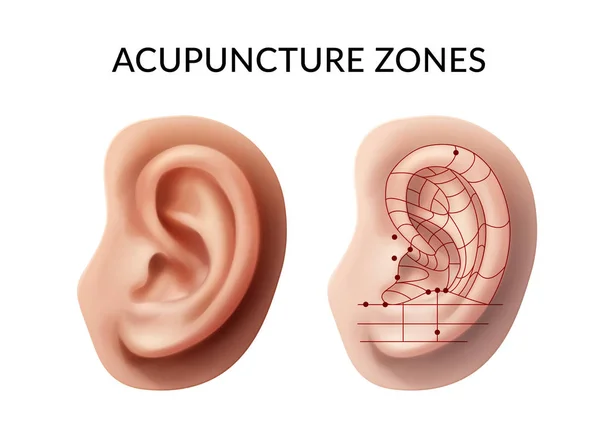 Ilustração vetorial de orelha com pontos de acupuntura e zonas reflexas no fundo —  Vetores de Stock