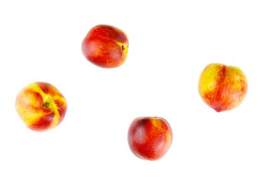 Beyaz arkaplanda izole edilmiş olgun sulu nektarinler