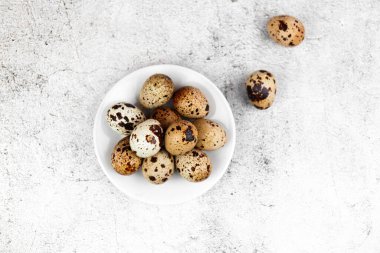 Küçük taze bıldırcın yumurtalı Paskalya veya bahar arkaplanı. Eko ürün. Beton arkaplanda bıldırcın yumurtaları.