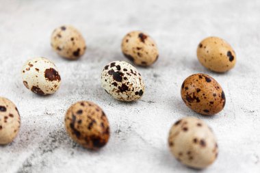 Küçük taze bıldırcın yumurtalı Paskalya veya bahar arkaplanı. Eko ürün. Beton arkaplanda bıldırcın yumurtaları.