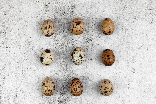 Easter or spring background with small fresh quail eggs. Ecoproduct. Quail eggs on concrete gray background.