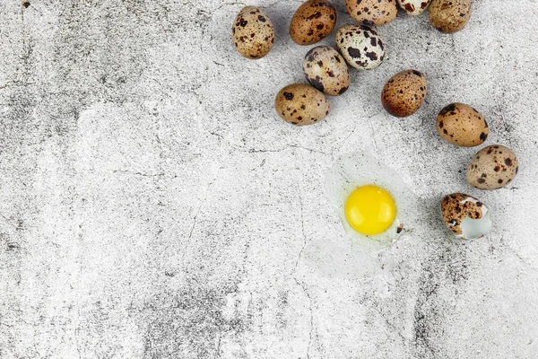 Easter or spring background with small fresh quail eggs. Ecoproduct. Quail eggs on concrete gray background.