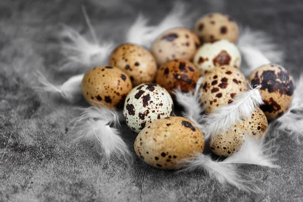 Koyu Gri Arkaplanda Bıldırcın Yumurtası — Stok fotoğraf