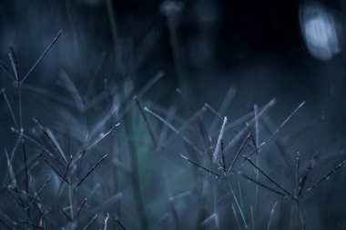 Mavi bir alanın soyut akşam arkaplanı.