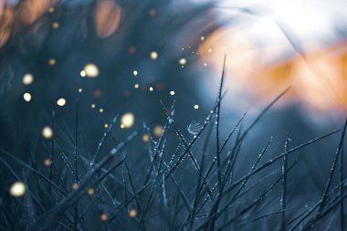 Koyu alan arkaplanı, mavi ve yeşil surfac