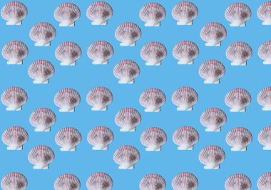 Mavi zemin üzerinde büyük deniz kabukları olan desen