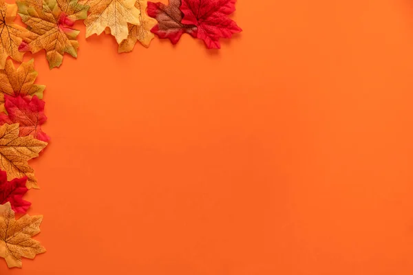오렌지 배경에 낙엽과 이야기하는 — 스톡 사진
