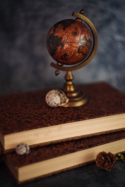 Güzel sanatlar konsepti. Gri arka planlarda çiçekli ve küresi olan taşralı kitaplara sahip natürmort yaşam.