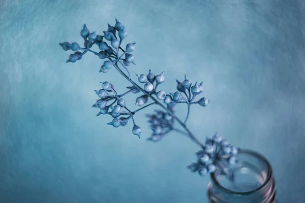 Kurumuş Çiçekler Cam Şişeyle Çekilen Basit Bir Natürmort — Stok fotoğraf