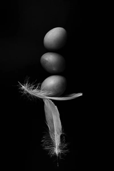 Black White Fine Art Photos Feathers Balancing Eggs Black Background — Stock Photo, Image