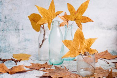 Sonbahar, küçük cam şişeler ve sarı yapraklarla sakin bir hayattır. Sonbahar temalı fotoğrafçılık. Doğa.