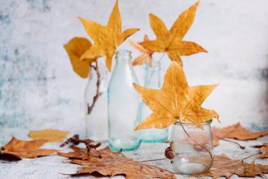 Sonbahar, küçük cam şişeler ve sarı yapraklarla sakin bir hayattır. Sonbahar temalı fotoğrafçılık. Doğa.