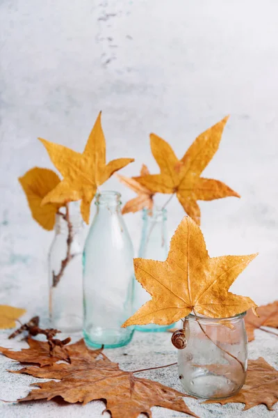 Autumn Still Life Little Glass Bottles Yellow Leaves Fall Theme — Stock Photo, Image