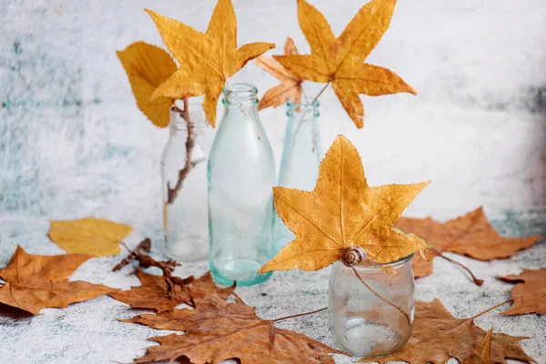 Autumn Still Life Little Glass Bottles Yellow Leaves Fall Theme — Stock Photo, Image