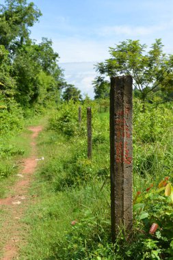 Kamboçya'da kırsal kesimde çit mesaj