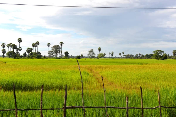 对柬埔寨农村的看法 — 图库照片