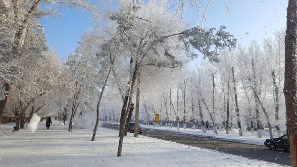 Сказочная Зима Сибири — стоковое фото
