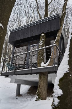 Modern Eko evde gündüz, vahşi orman