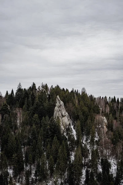 Rock Kárpát Erdőben — Stock Fotó