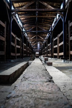 Birkenau ölüm kampında Yatak Odası, tarih kavramı 