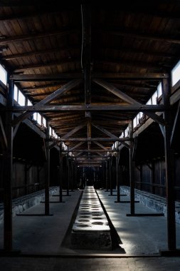 Birkenau ölüm kampında tuvaletler, tarih kavramı 
