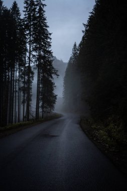 Morskie Oko, seyahat konsepti için Misty yolu