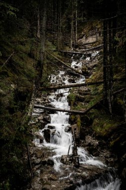 Zakopane orman şelale görünümü, Polonya 
