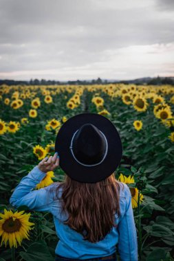 ayçiçeği poz şapka kız arka görünümü, Ukrayna 