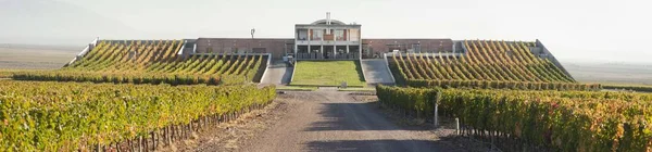 Bodega Mendoza Vista Desde Frente —  Fotos de Stock