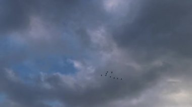 Geceleri bulutlu gökyüzü arka planda uçan kuşlar,.