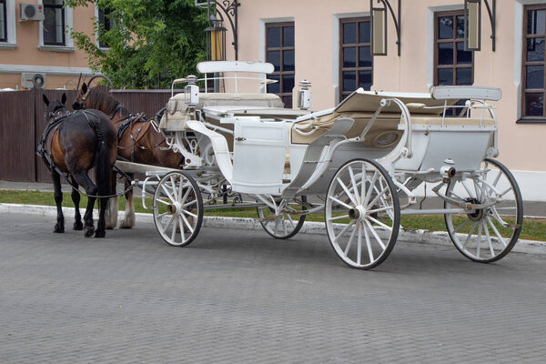 A white horse-drawn carriage with two horses, waiting for tourists on the old town square at the city of Kolomna, Russia.