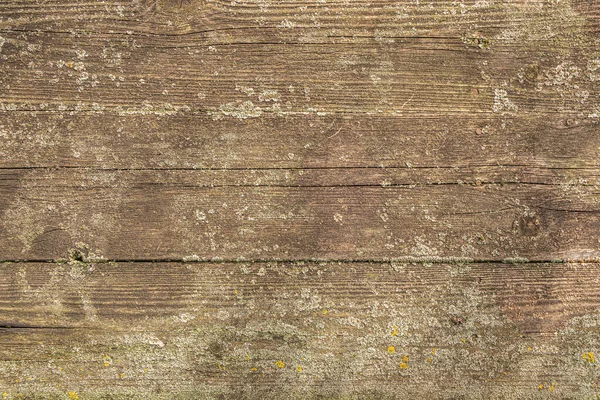 Eine Tischplatte Aus Alten Rustikalen Holzbrettern Zusammengenagelt Mit Winzigen Flechten — Stockfoto