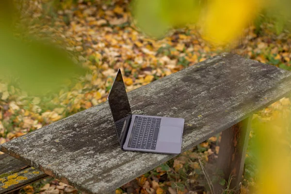 Sonbahar bahçesindeki ahşap bir masada üstü açık bir laptop duruyor. Masanın üstü küçük liken ile kaplı. Arka plandaki sarı yapraklar bulanık..