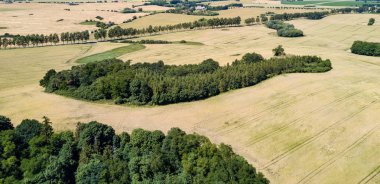 çayırlar ve orman havadan görünümü