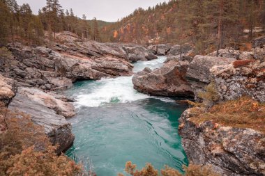 İsveç orman - ağır taş vahşi nehir