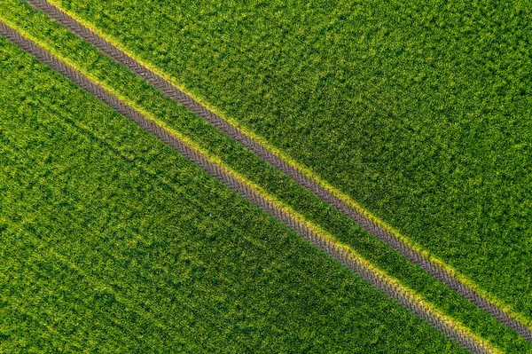 春のトラクター トラックと緑の農業分野の空撮 — ストック写真